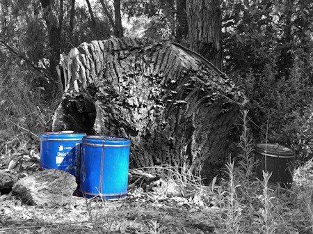 Building, Countryside, Hut, Nature, Outdoors, Plant, Rural, Shelter, Soil, Tree